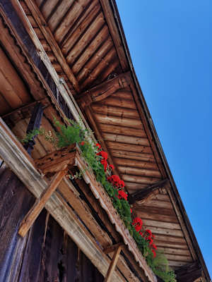 Rote Geranien auf den Balkonen des Weberhofs