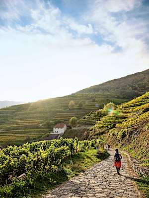 Welterbewanderweg Wachau