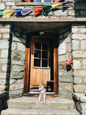 Ana Zirner Alpenüberquerung