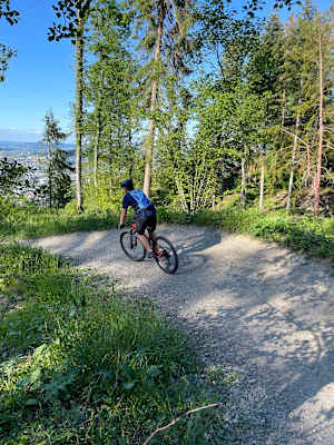 Der Antennentrail am Uetliberg