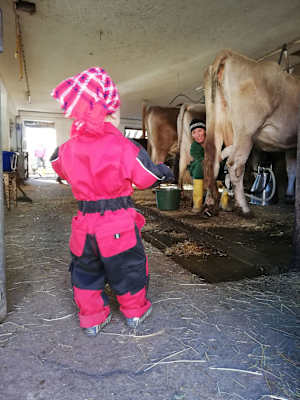 Bio-Bauernhof Kneringer