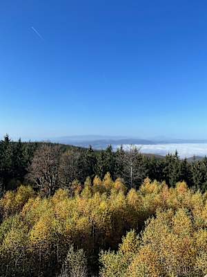 In der Ferne sind Schneeberg und Rax zu erkennen