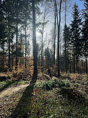 Günther im Anflug auf dem Esterházy Trail