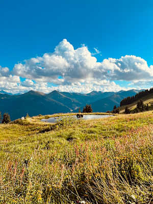 Herrliche Aussicht mit See