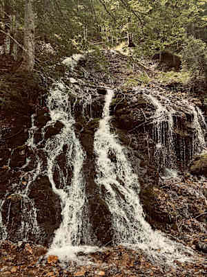 Der Schreiende Brunnen