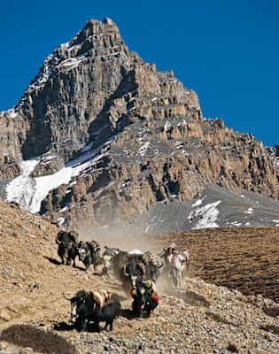 Bergwelten Himalaya Tyrolia