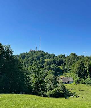 Blick auf den Uetliberg vom Planetenweg