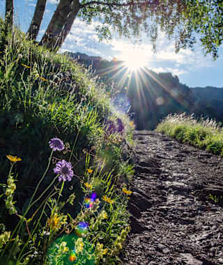 Am Weg zur Äugstenhütte