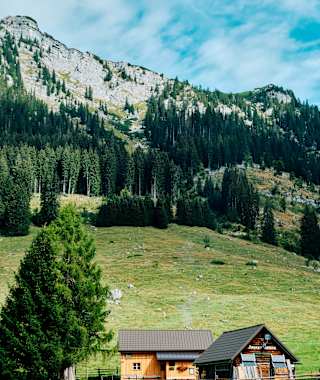 Die Kinkhütte ist Teil eines idyllischen Almdorfes mit dem Namen Hinteregger Alm, einer sogenannten Niedrigalm.