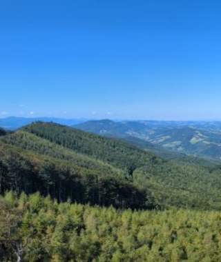 Aussicht über den Wienerwald vom Schöpfl-Schutzhaus