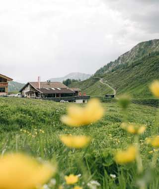 Die Bergkäserei Stoankasern ist eine urige Jausenstation und liegt oberhalb der Ortschaften Juns bzw. Tux-Lanersbach.