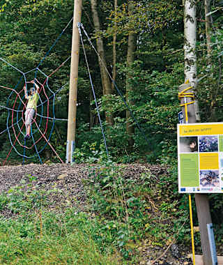 Station „Welt der Spinnen“