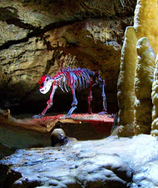 Teufelhoehle Pottenstein