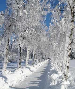 Winterwanderweg Strobl 