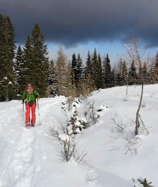Aufstieg auf der Forststraße.