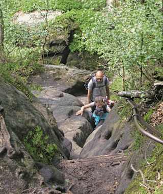 Bergpfad zur Rotkehlchenstiege