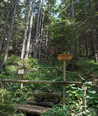 Am Ambrosi-Bründl beginnt der eigentliche Aufstiegsweg zur Meßnerin.