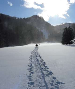 Vom Parkplatz an der Seebergalm führt der Wanderweg zum Seebergsattel in Richtung Westen.