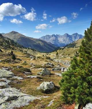Wunderschöne Landschaft im Schweizer Nationalpark