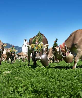Etappe 4 des Nationalpark-Panoramaweges