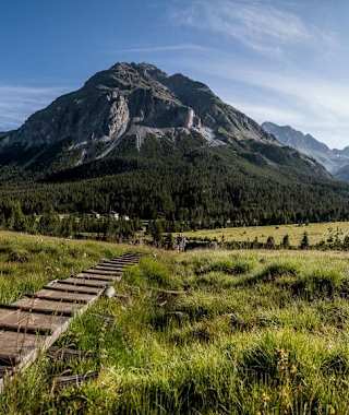 "Holzwege" führen über die teils versumpften Almwiesen.