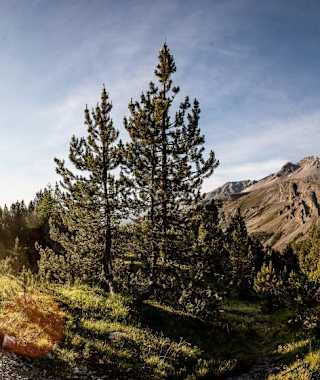 Herrliches Bergpanorama