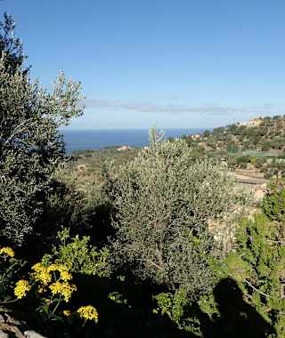 Meerblick in Deià 