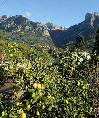 Blick zur Tramuntana von Binibassi 