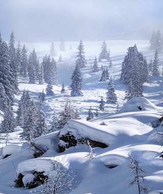 Aufstieg zur Schneegrubenspitze von der Kelchsau
