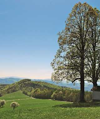 Wer einen Eindruck von der lieblichen niederösterreichischen Voralpenlandschaft gewinnen möchte – niemand hat sie treffender beschrieben als der in diesem Gebiet lange Zeit ansässige Lyriker Josef Weinheber –, der besteige den Berg an einem strahlenden Frühlingstag. Es ist ein Gang durch grüne Felder und blühende, duftende Wiesen, der auch abgebrühte Naturen bezaubert.