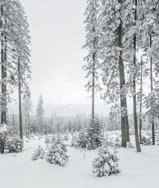 Winterlandschaft in Niederbayern