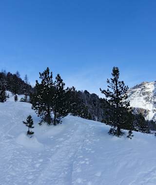 Im Aufstieg zur Chünetta