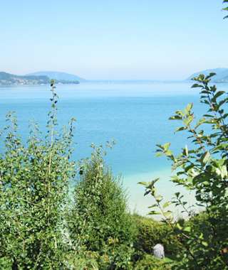Blick auf den Attersee 