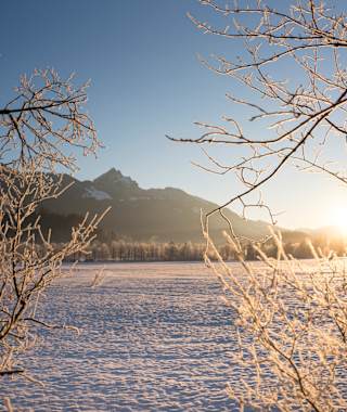 Winterwandern mit dem Wendelstein im Blick