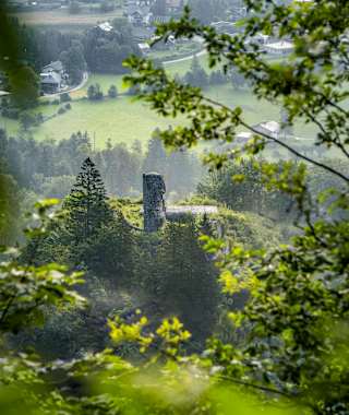 Die Ruine Wildenstein