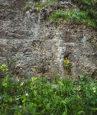 In der engen Zimnitz