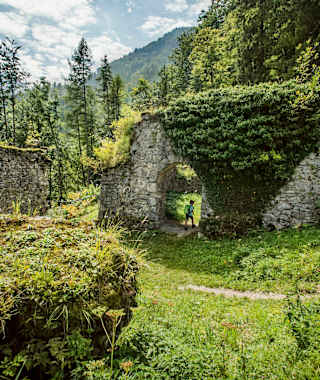 Die Ruine Scharnstein