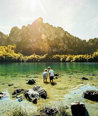 Im Laudachsee tummelt sich so mancher Molch.