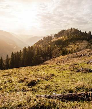 Erlakogel und Spitzensteinalm