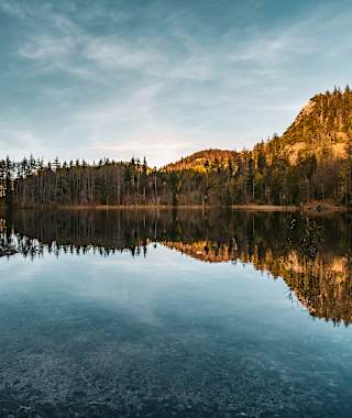 Der Eibensee