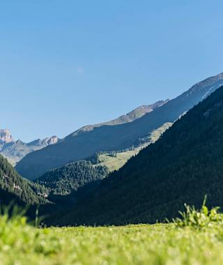 Unterwegs am Rotensteiner Höhenweg