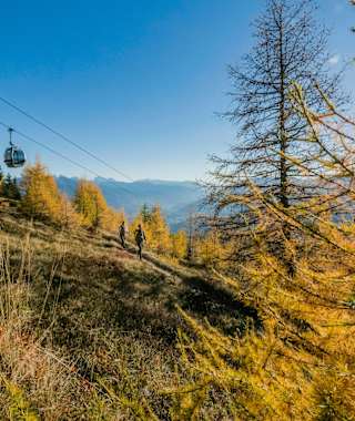 Die Almwanderung ist besonders im Herbst lohnend
