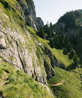 Am Purtschellersteig