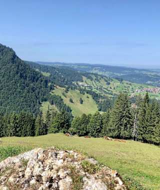 Blick auf Steibis vom Prodel