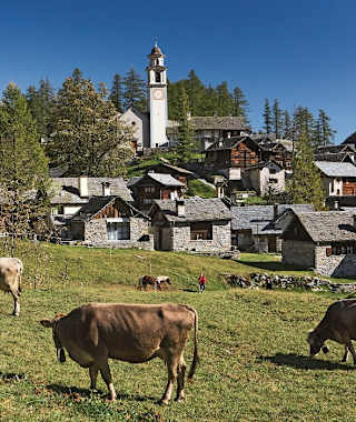 Das Tessiner Dorf Bosco Gurin