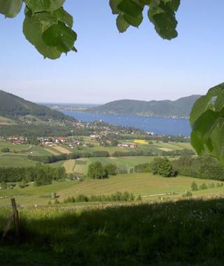 Ausblick auf den Attersee