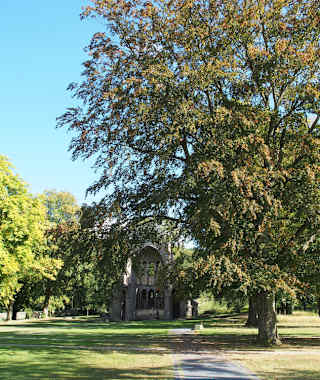 Klosterlandschaft Chorruine Heisterbach