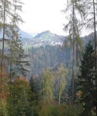 Rund um den Larchberg