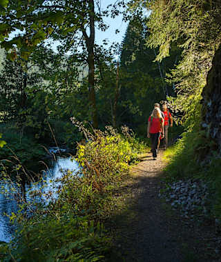 Pfad an der Alb bei St. Blasien-Glashof