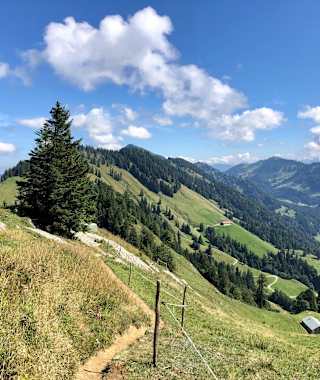 Auf dem Grat zum Falken